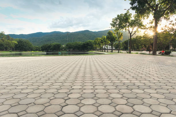 Best Residential Paver Driveway  in Naval Academy, MD